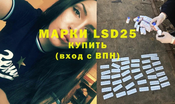 МДПВ Бородино