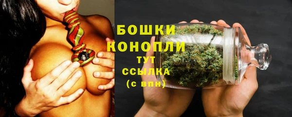 стаф Бугульма