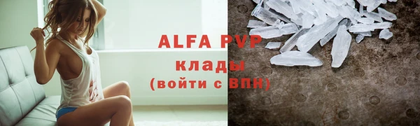 МДПВ Бородино