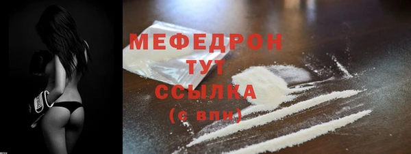 МДПВ Бородино