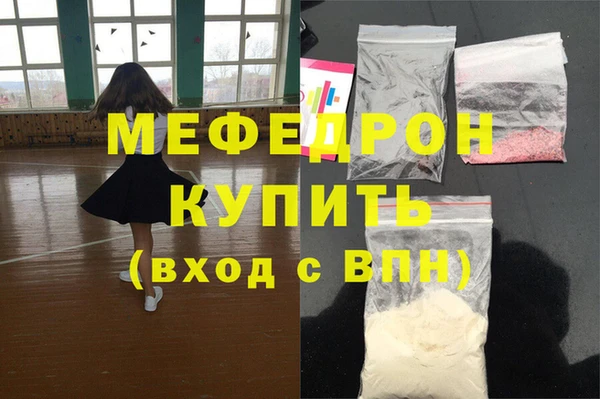 МДПВ Бородино