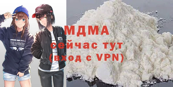 МДПВ Бородино