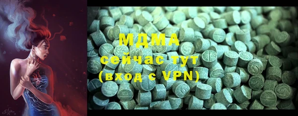 МДПВ Бородино