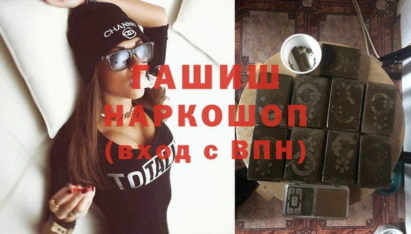 МДПВ Бородино